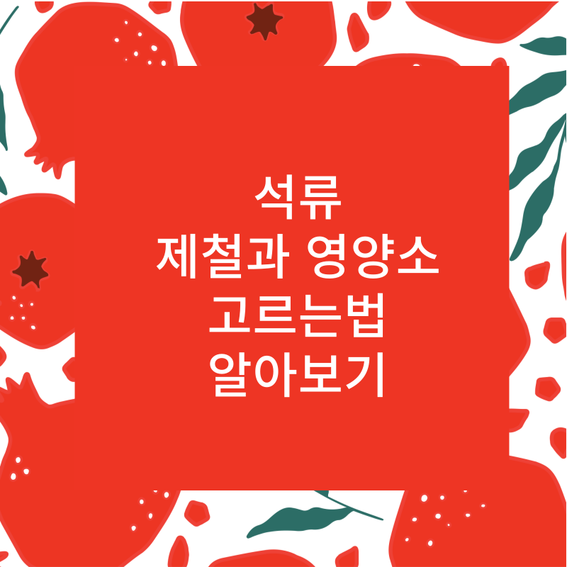 석류 썸네일