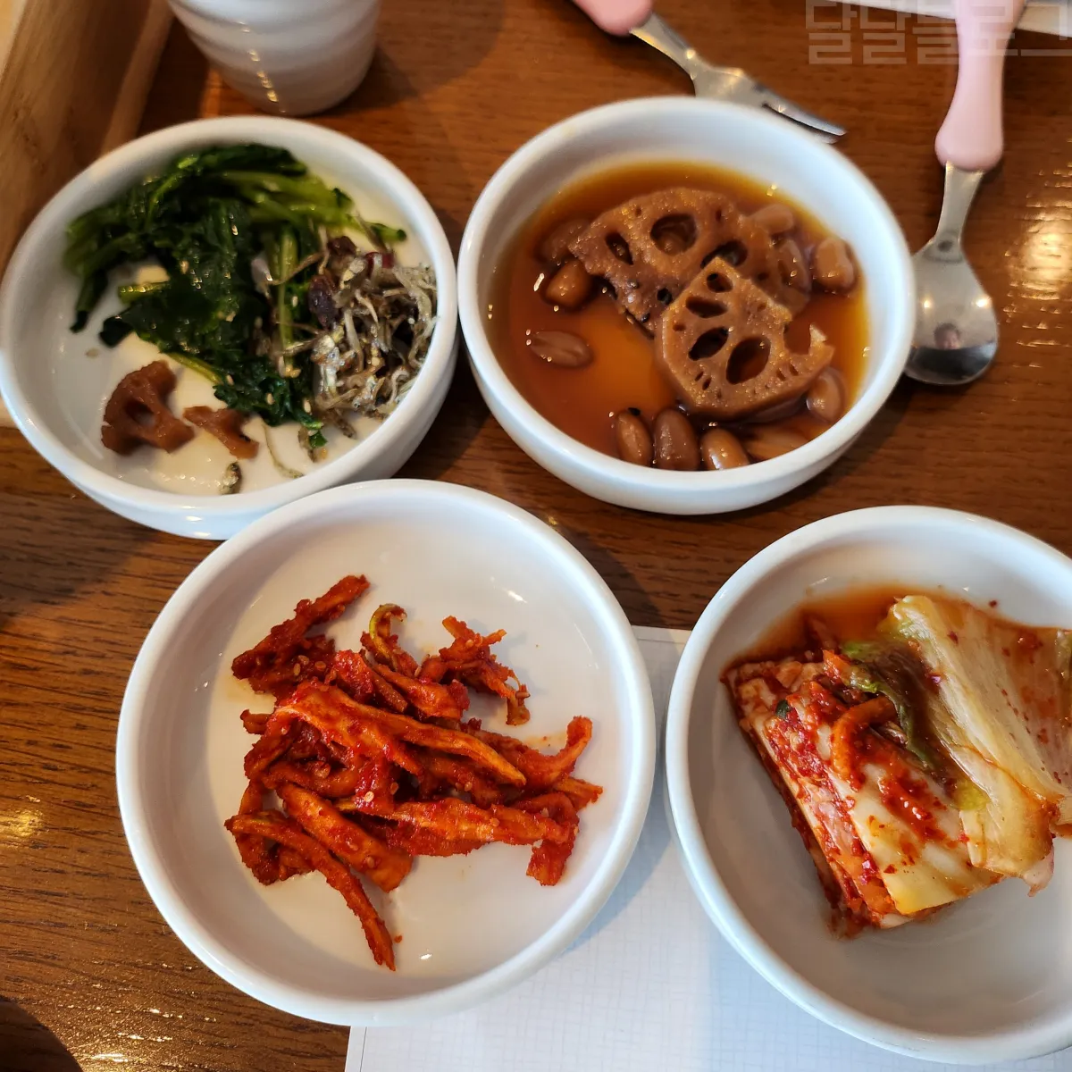 강원도-델피노-소노캄-송원-반찬