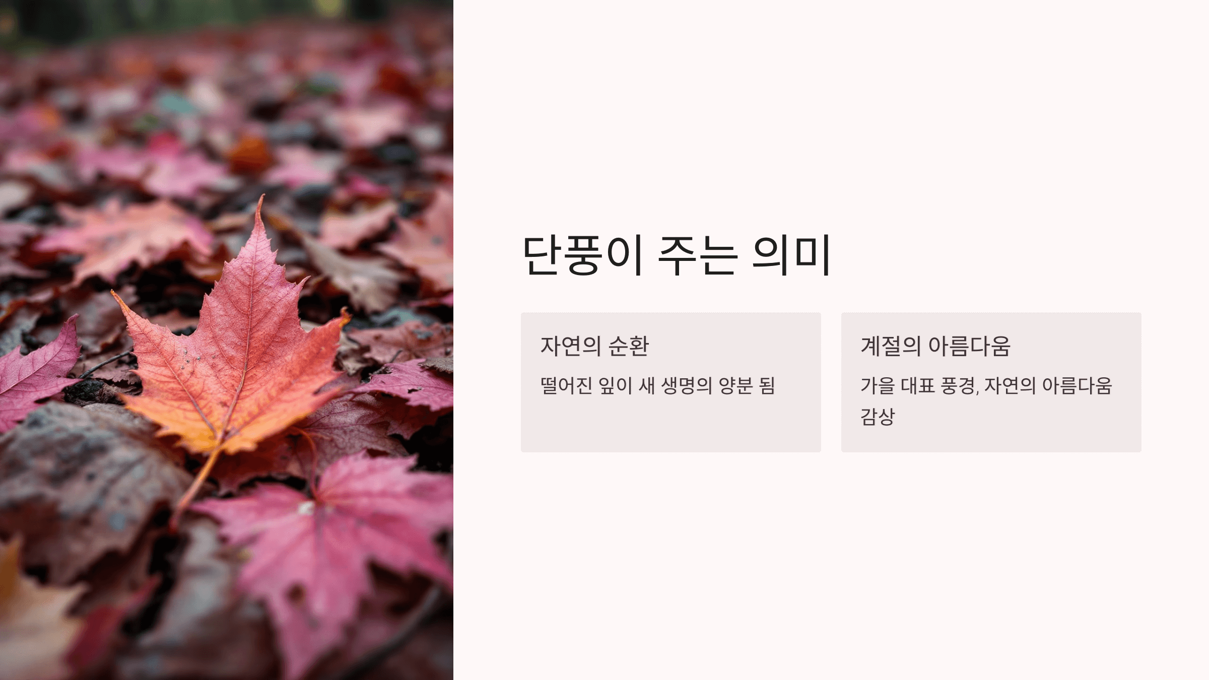 단풍 사진입니다.