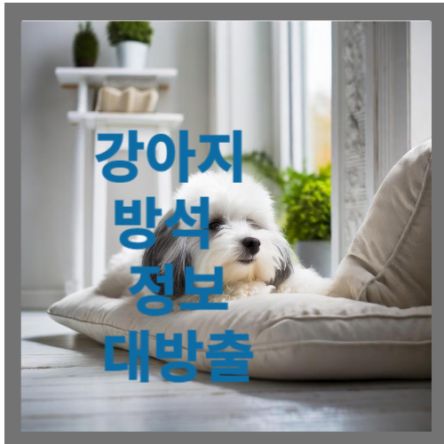 강아지 방석