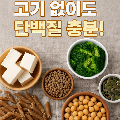 고기 없이도 단백질 충분!