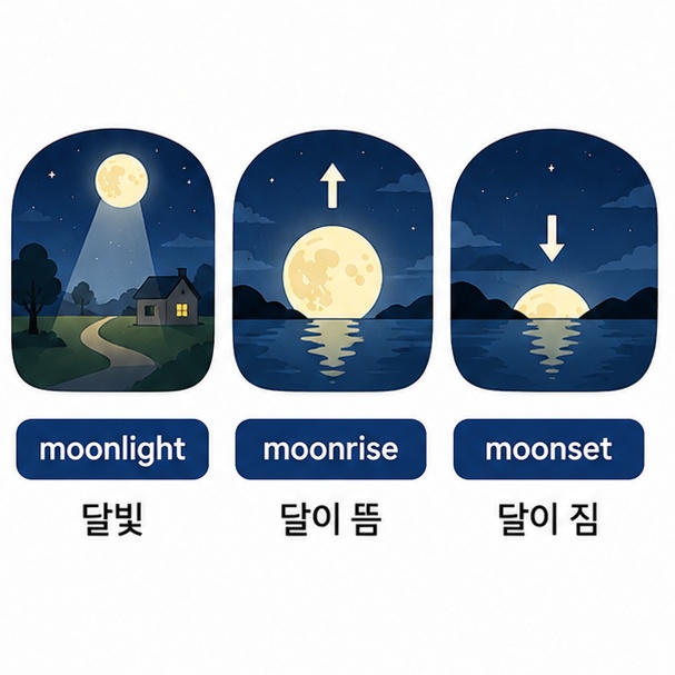 달빛과 달이 뜨고 지는 모습을 통해 moonlight와 moonrise, moonset 표현을 설명하는 그림