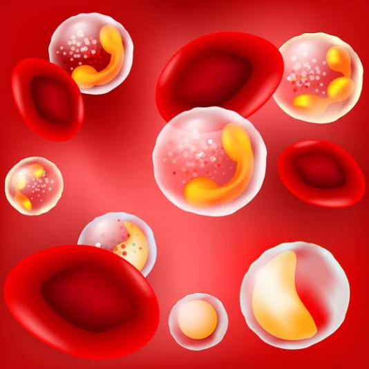 콜레스테롤 정상수치