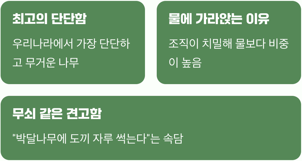 쇠보다 단단한, 나무의 왕