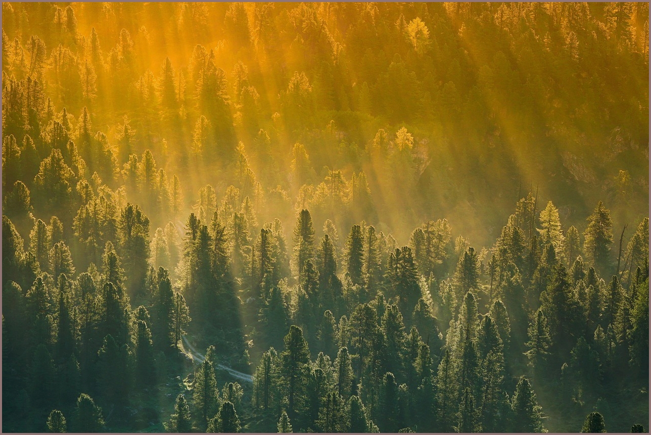 아이오닉5 가격표