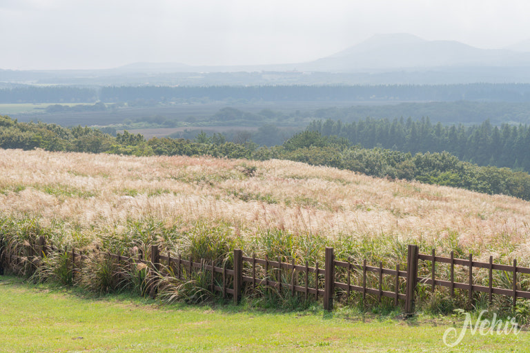 제주 산굼부리 사진