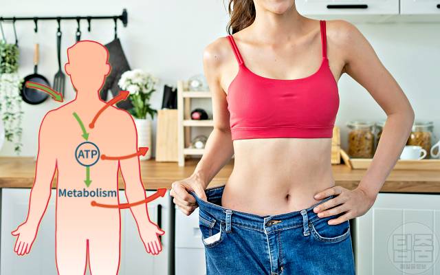 신진대사 높이는 음식 신진대사음식