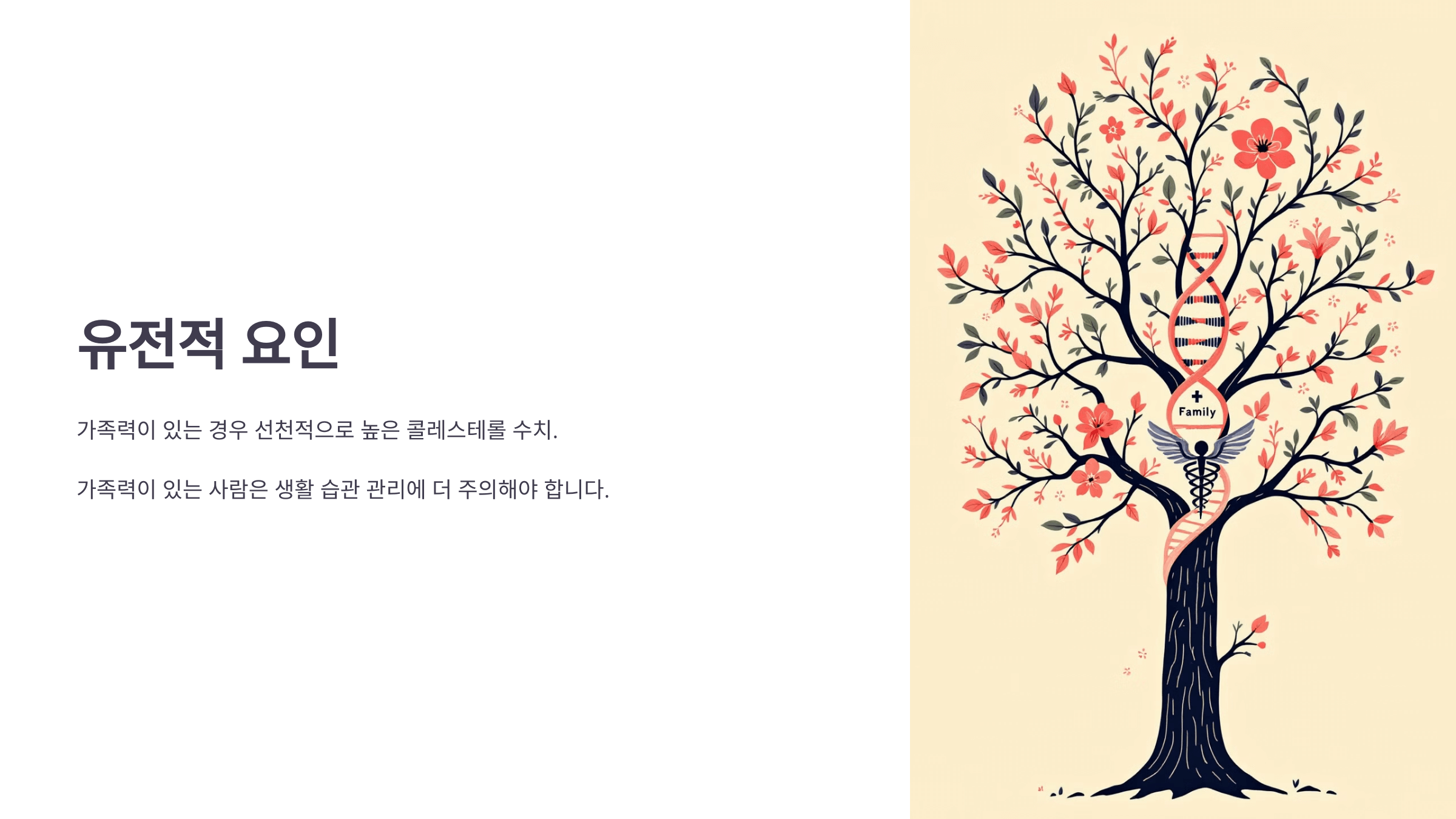 콜레스테롤과 관련된 사진입니다.