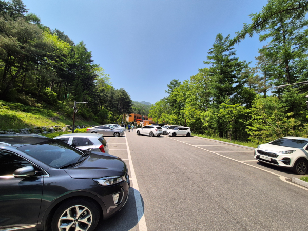 국립춘천숲체원 주차장에 주차된 차들과 주변 숲 풍경