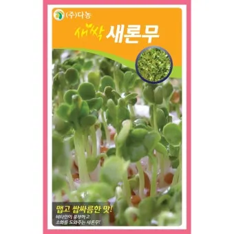 새싹무 재배 씨앗 소독 얇게 파종 통풍 관리_11