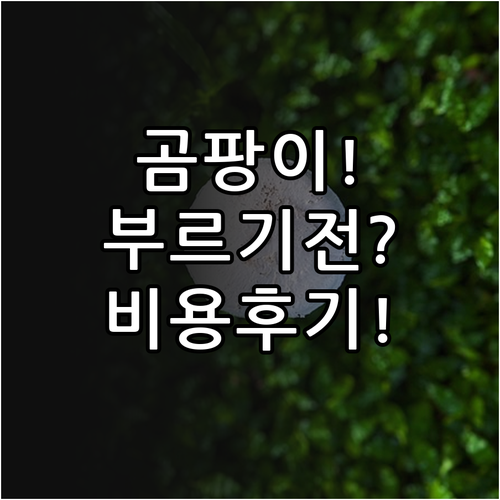 곰팡이 제거 업체 부르기 전 확인할 ..