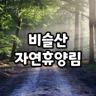 썸네일 입니다.