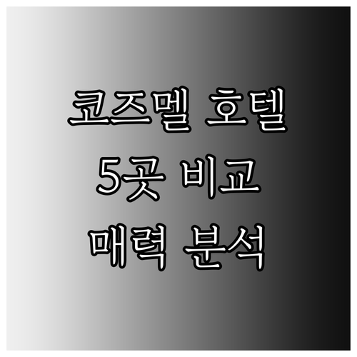 코즈멜 호텔 탐방기 5곳의 매력 비교