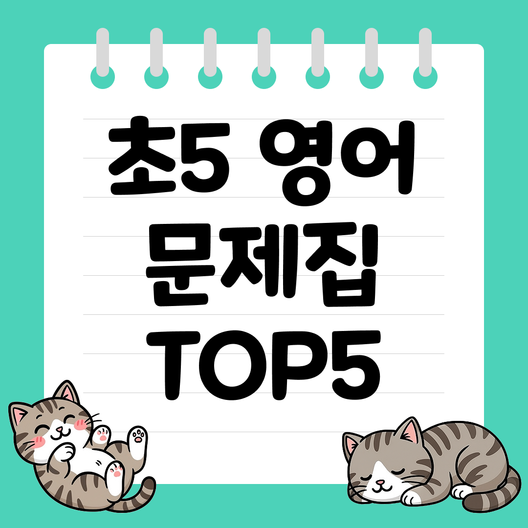 2026년 대비 초5 영어 문제집 추천 순위 TOP5
