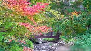 지역별 유명산 단풍 절정