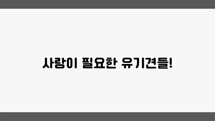 유기견 보호소의 아이들의 모습