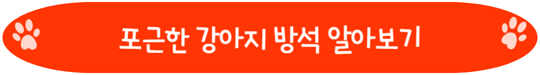 포근한 강아지 방석