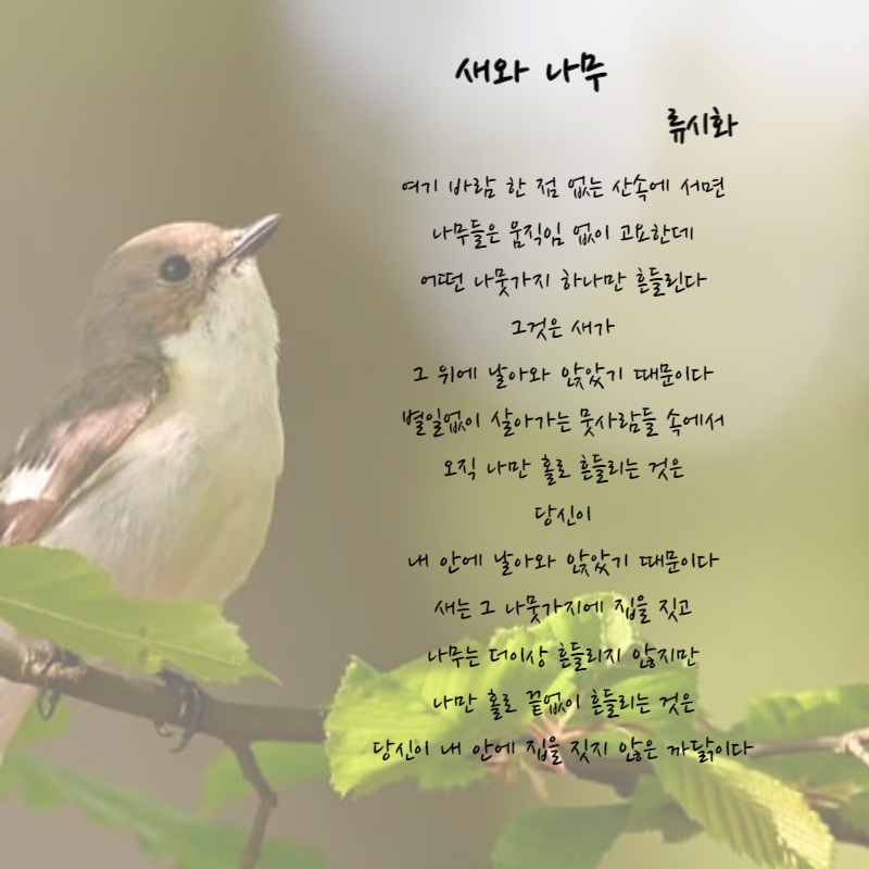 가을시 모음 추천