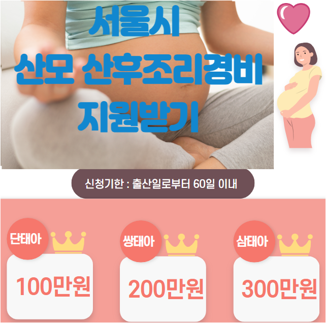 산모 산후조리 경비 신청