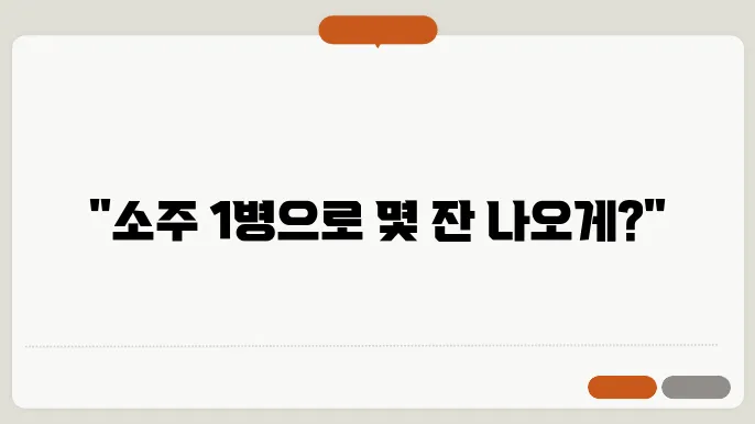 소주 1병 용량? 몇잔 따를 수 있을까?