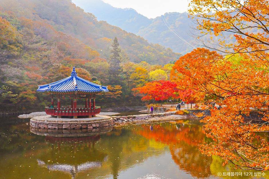 전국 단풍명소, 절정시기