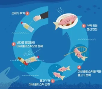 뇌를 잠식하는 미세 플라스틱 보이지 않는 위협_20