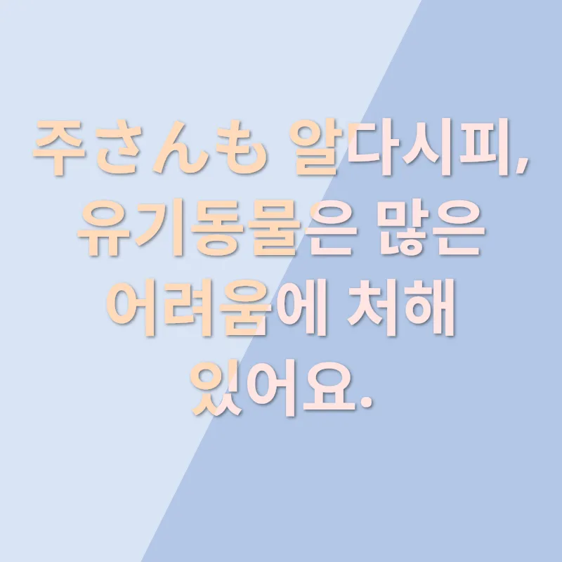 유기동물 보호_1
