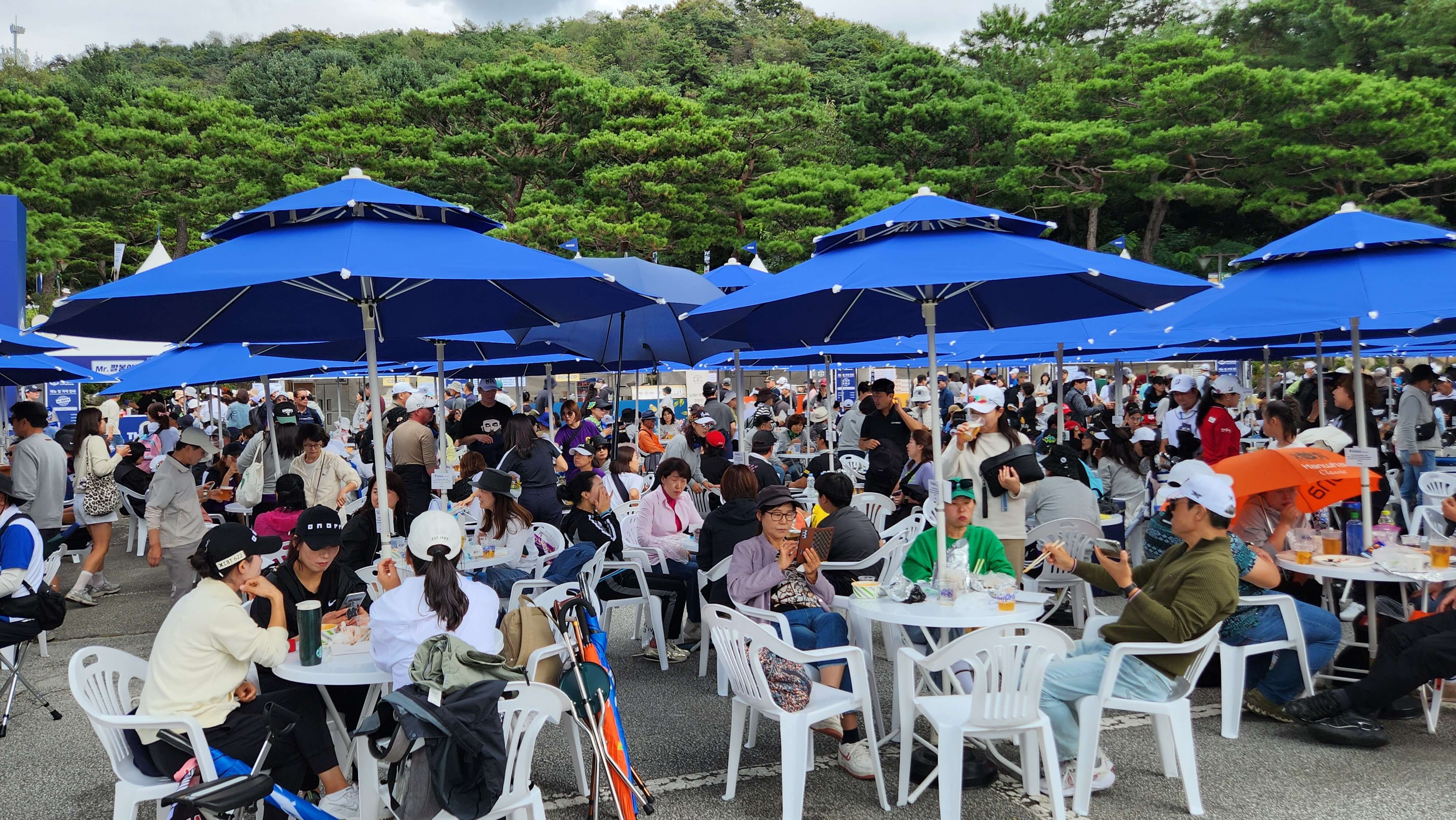 2025 KLPGA·KPGA 투어, 올해는 어떤 이야기가 펼쳐질까?