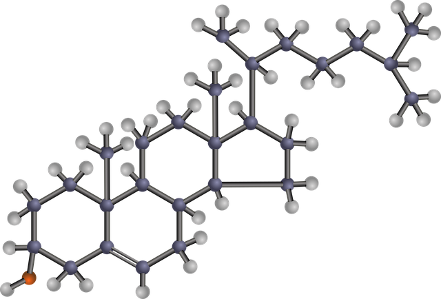 맥주효모의 효능 10가지