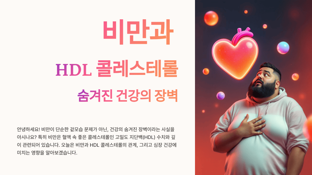 비만과 고밀도지단백(HDL) 콜레스테롤의
관계