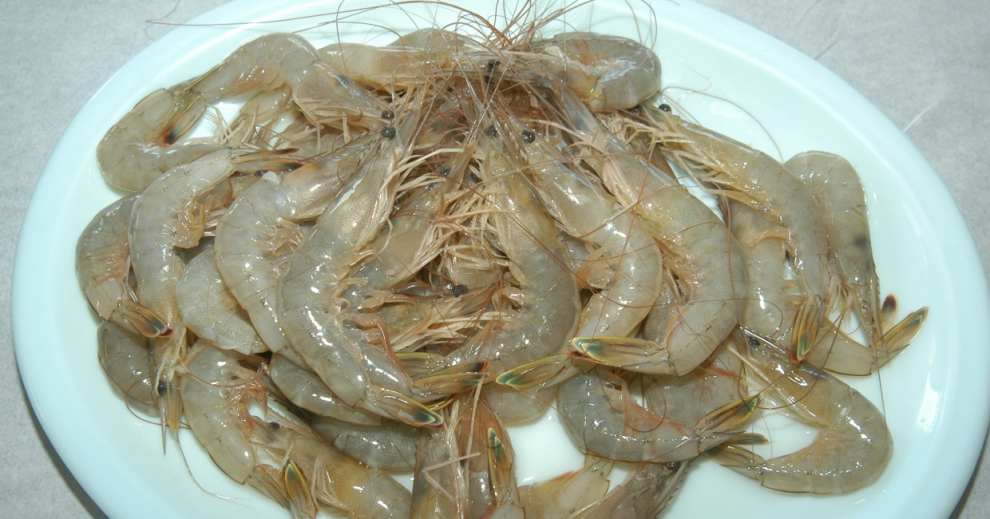 홍성남당항대하축제 기본정보