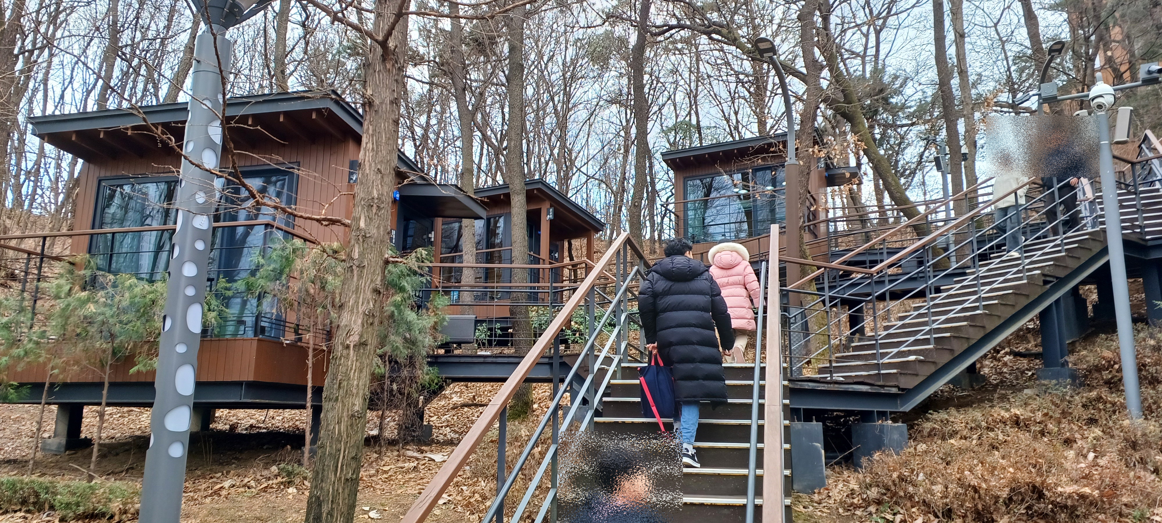 광교푸른숲도서관-책뜰-전경