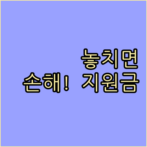 민생회복 쿠폰과 유사한 정부 지원 정..