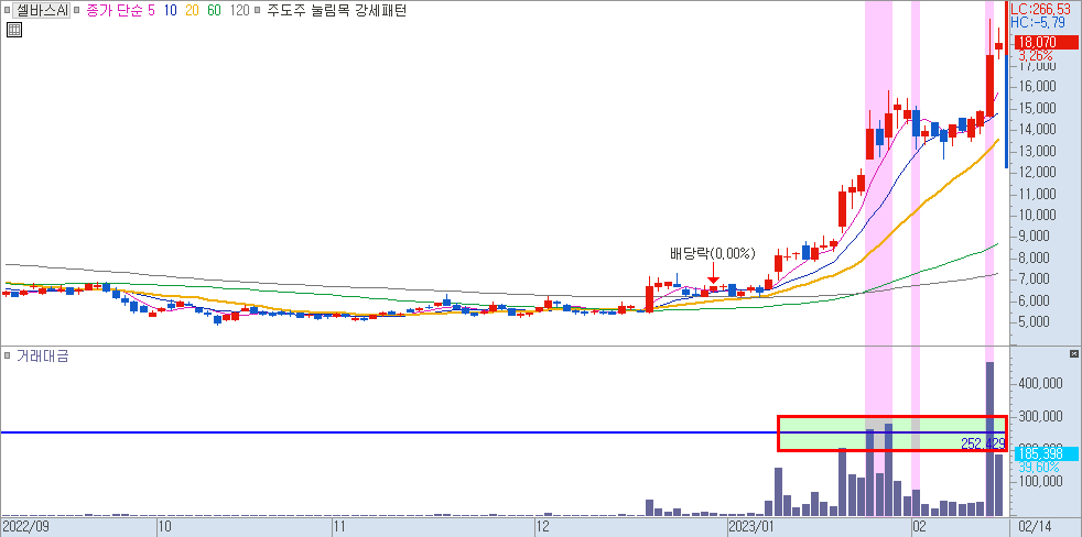 셀바스AI 일봉 차트
