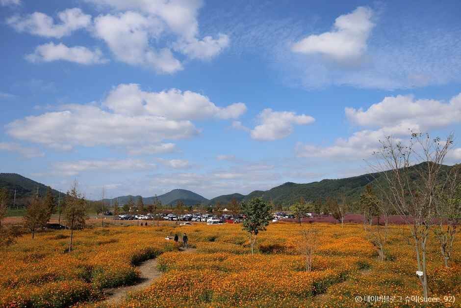 의령 가볼만한곳 베스트 10