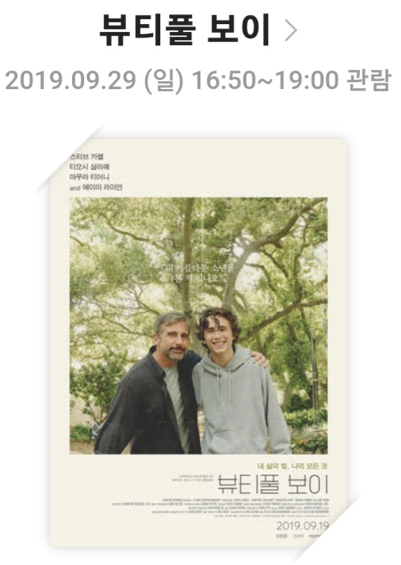 [뷰티풀 보이]영화리뷰, 줄거리, 캐릭터, 결론