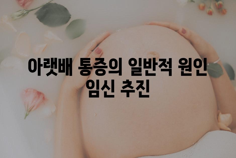 아랫배 통증의 일반적 원인 임신 추진