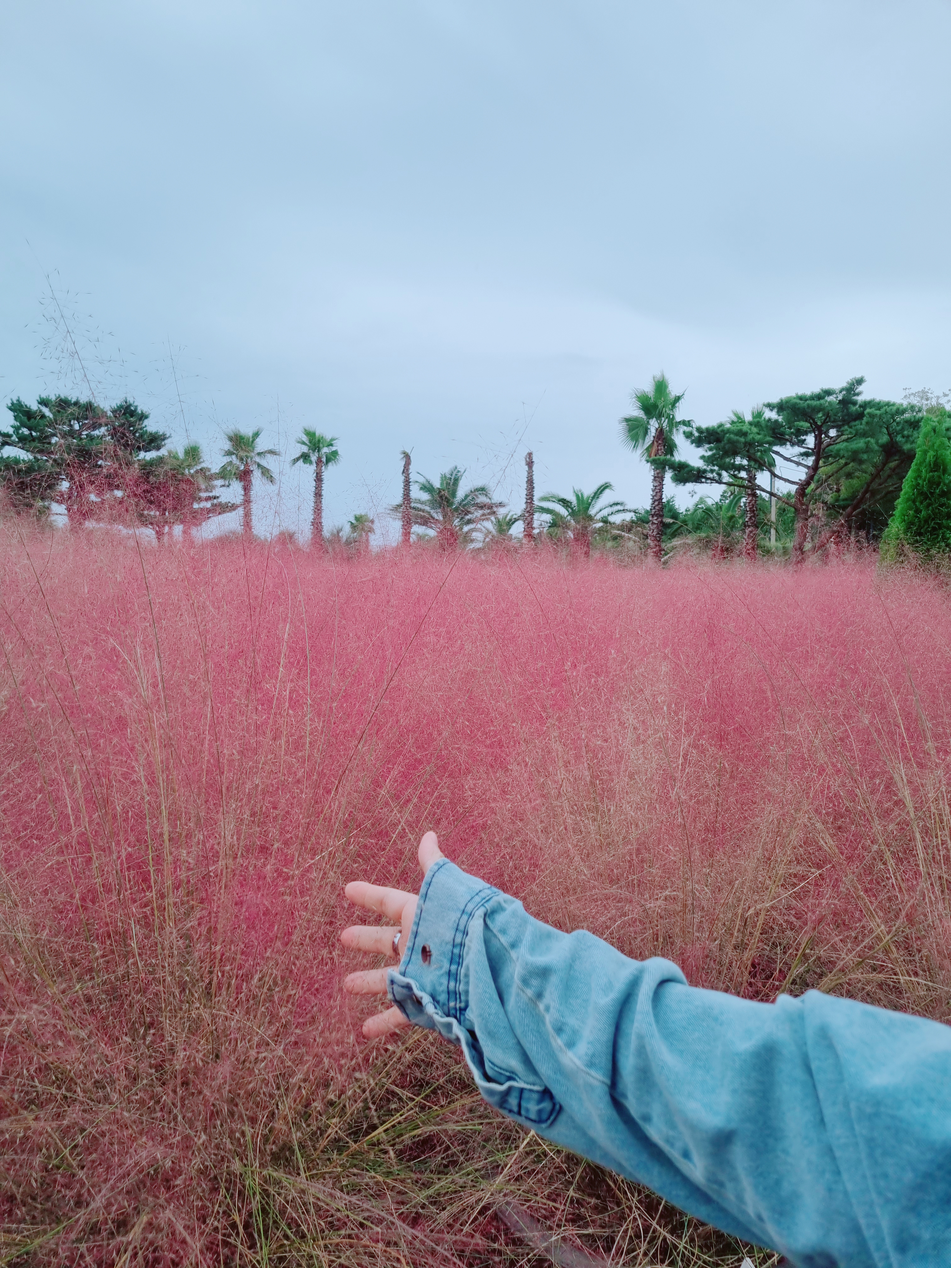 휴애리 자연생활공원