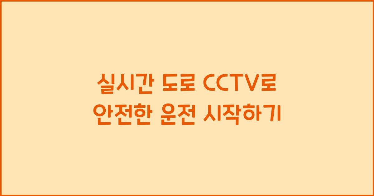실시간 도로 cctv