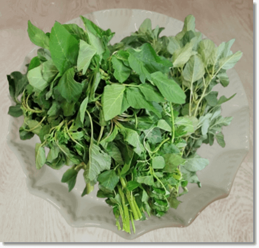 비름나물 효능 및 먹는 법과 주의점