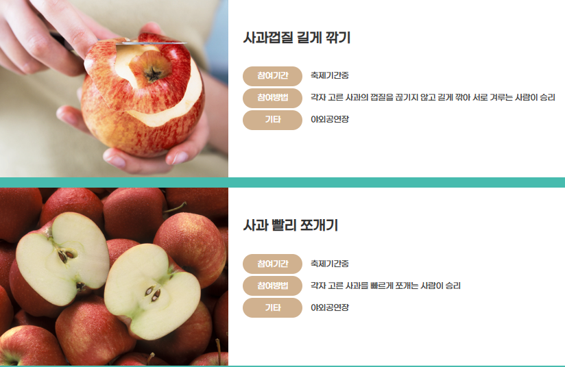 2025 문경사과축제 일정