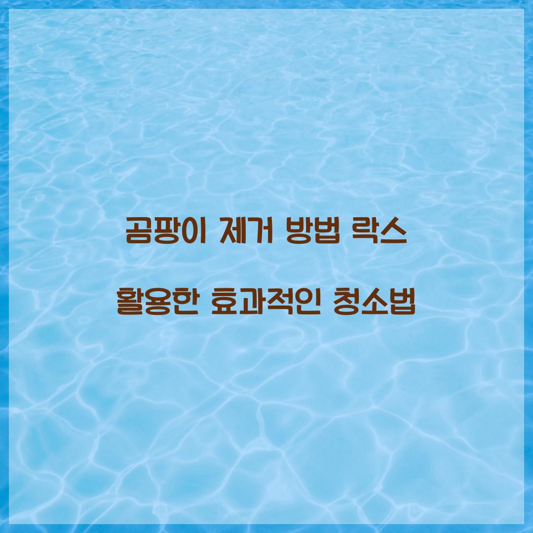 곰팡이 제거 방법 락스