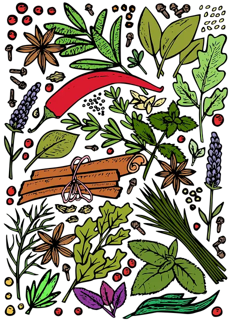 봄나물 종류 및 레시피