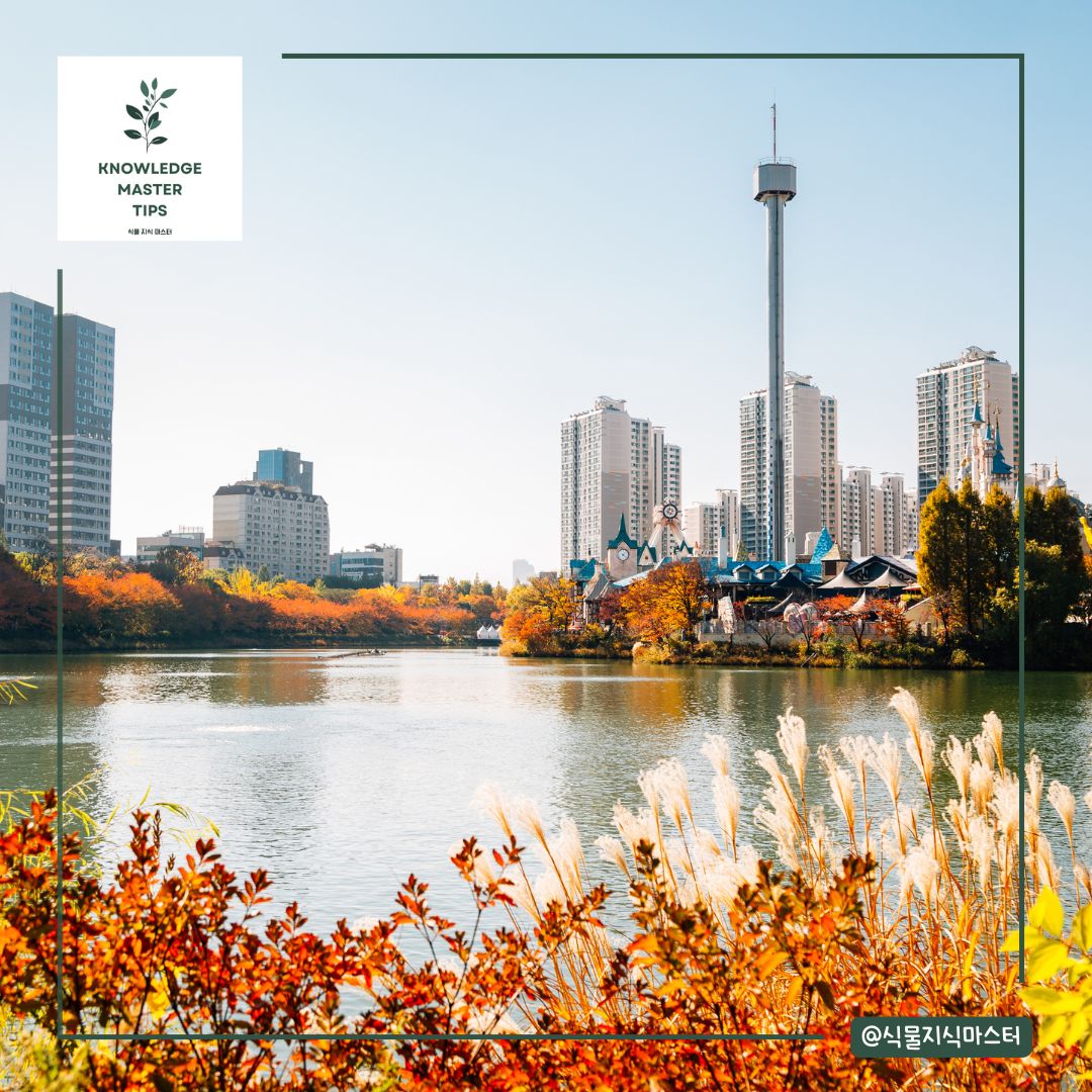 서울 단풍 명소 - 석촌호수