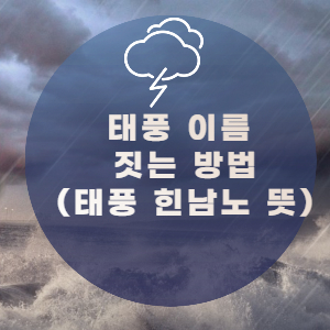 태풍 이름 짓는 방법 썸네일