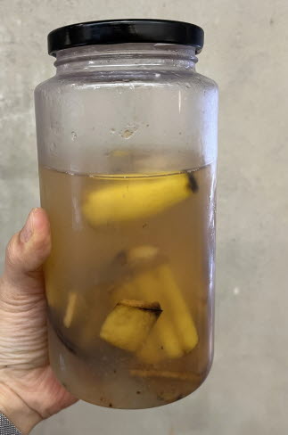 내가 직접 만들어본 식물 천연 영양제와 그 효과