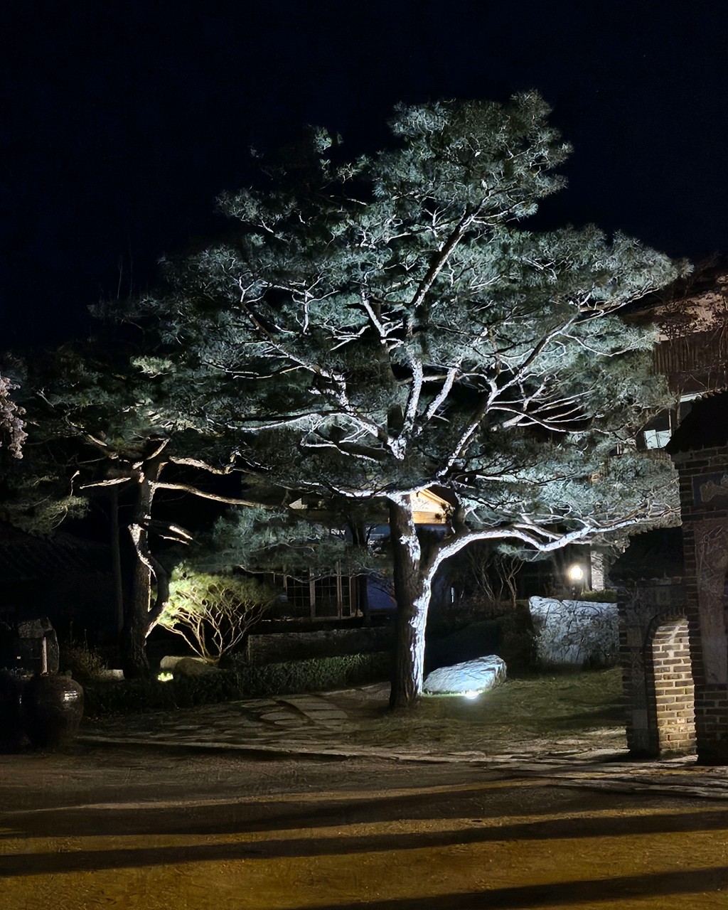 춘천 남이섬