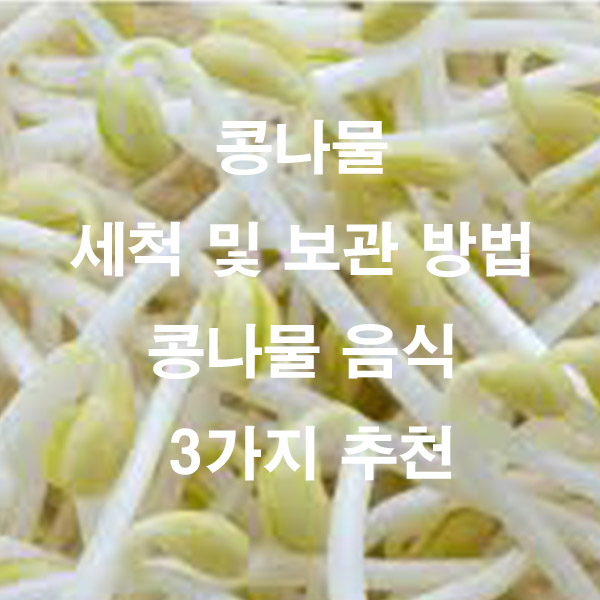 콩나물 세척 및 보관 방법 콩나물 음식 3가지 추천