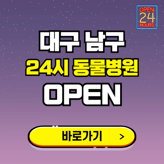대구 남구 24시 동물병원 진료하는 곳 ❘ 설날 휴일 야간 심야 문여는곳 찾기 ❘ 응급진료