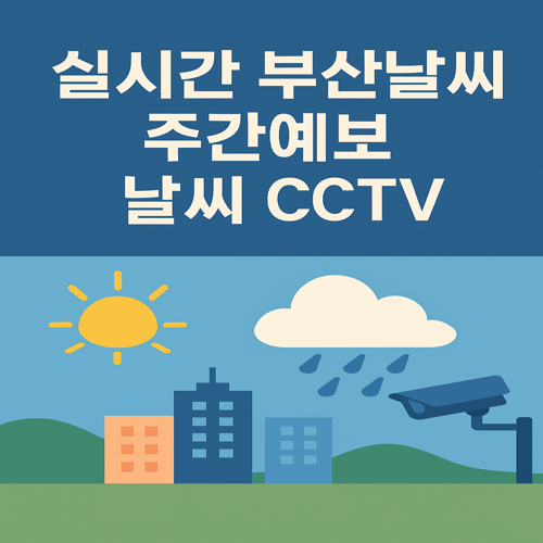 실시간 부산날씨 주간예보 날씨 CCTV